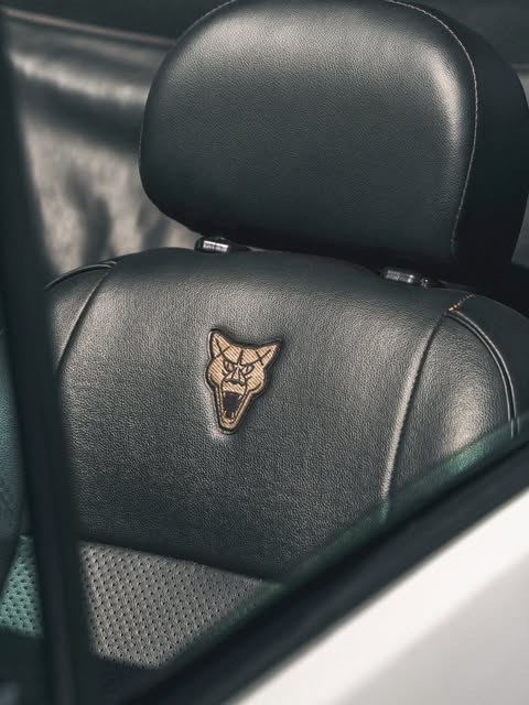 PUMA GTS CONVERSÍVEL - Imagem 9