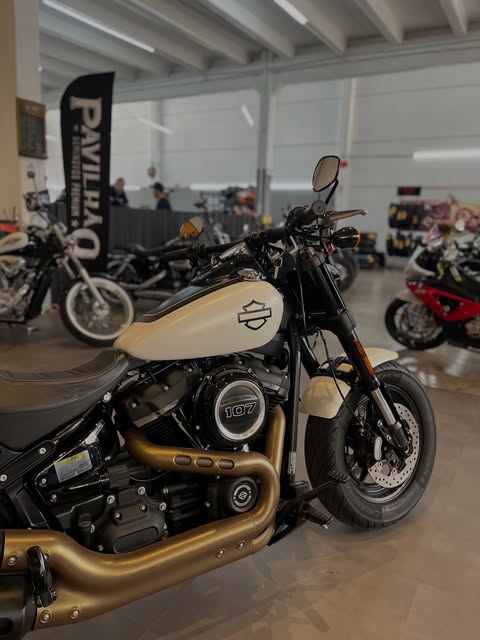 HARLEY-DAVIDSON FAT BOB - Imagem 3