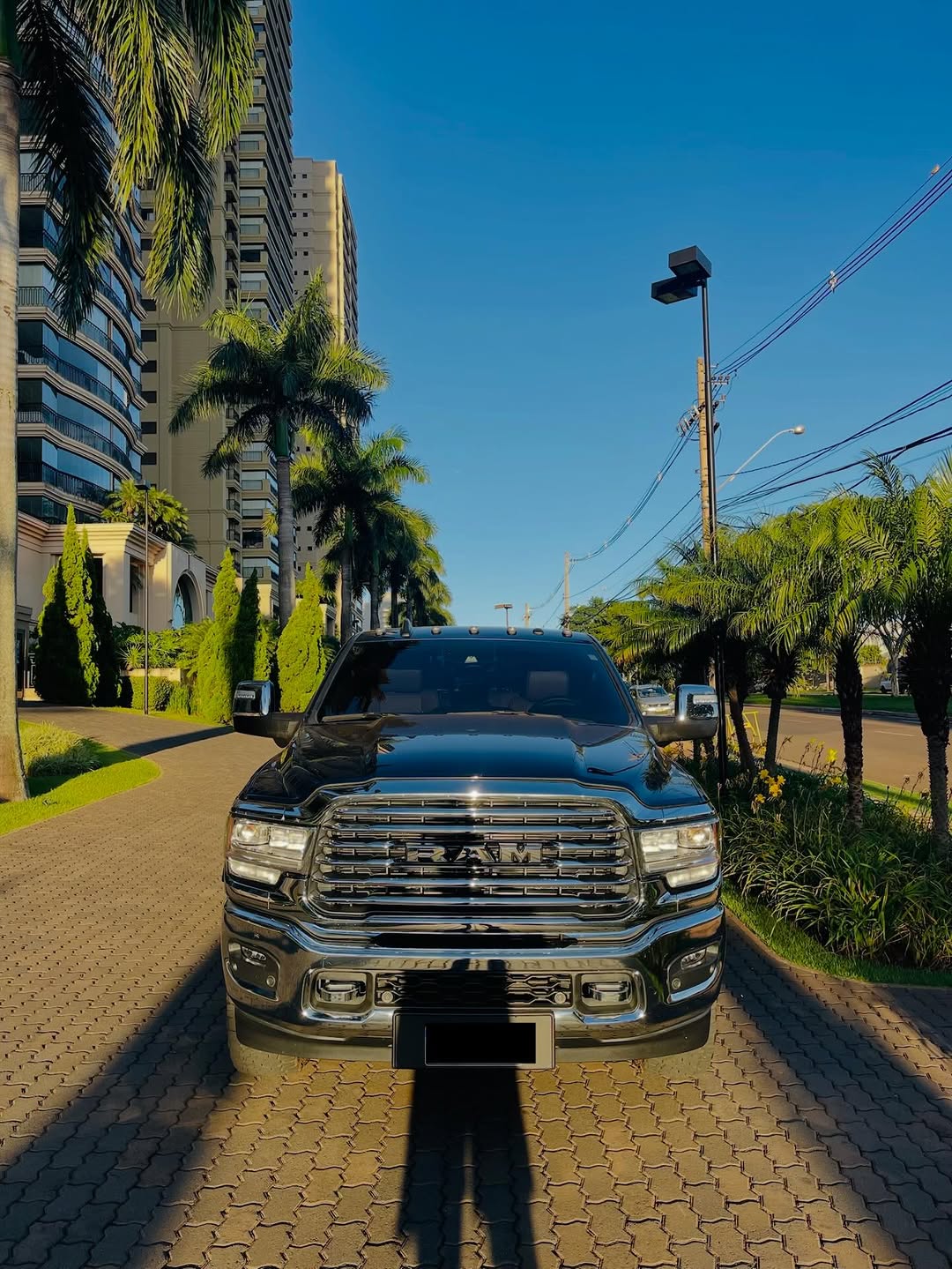 DODGE RAM 3500 LONGHORN - Imagem 2