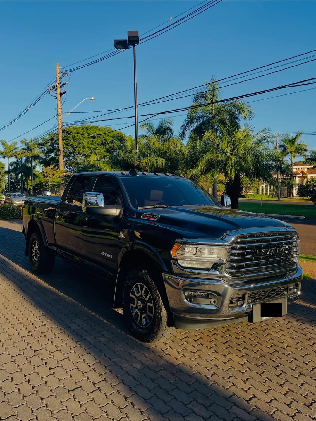 DODGE RAM 3500 LONGHORN - Imagem 3