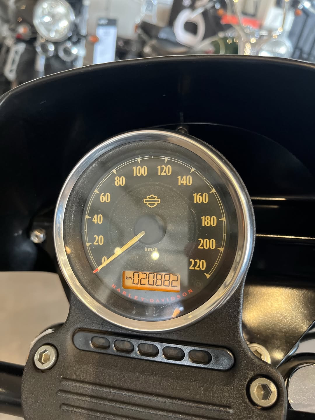 HARLEY-DAVIDSON IRON - Imagem 8