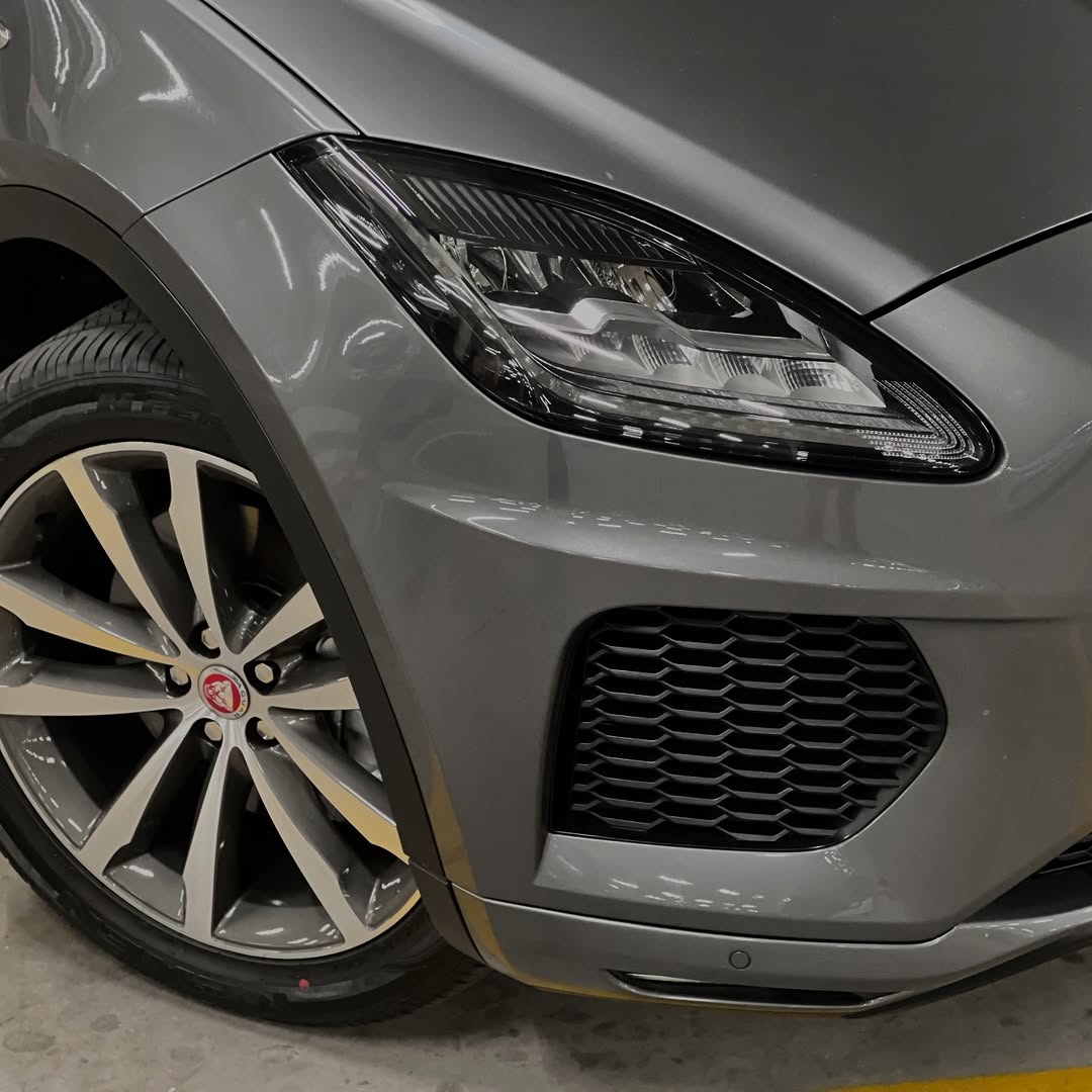 JAGUAR E PACE DYNAMIC - Imagem 3