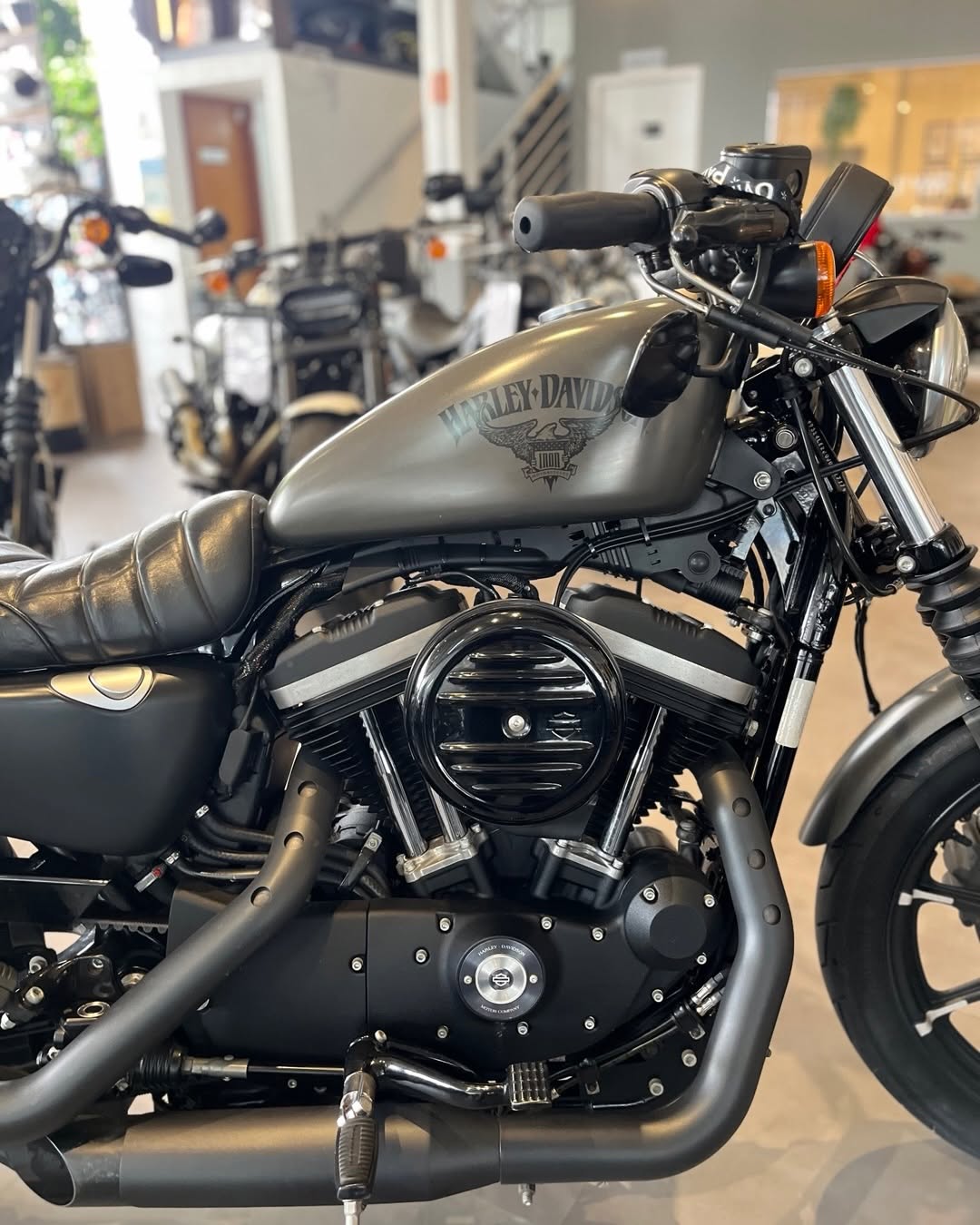 HARLEY-DAVIDSON IRON - Imagem 2