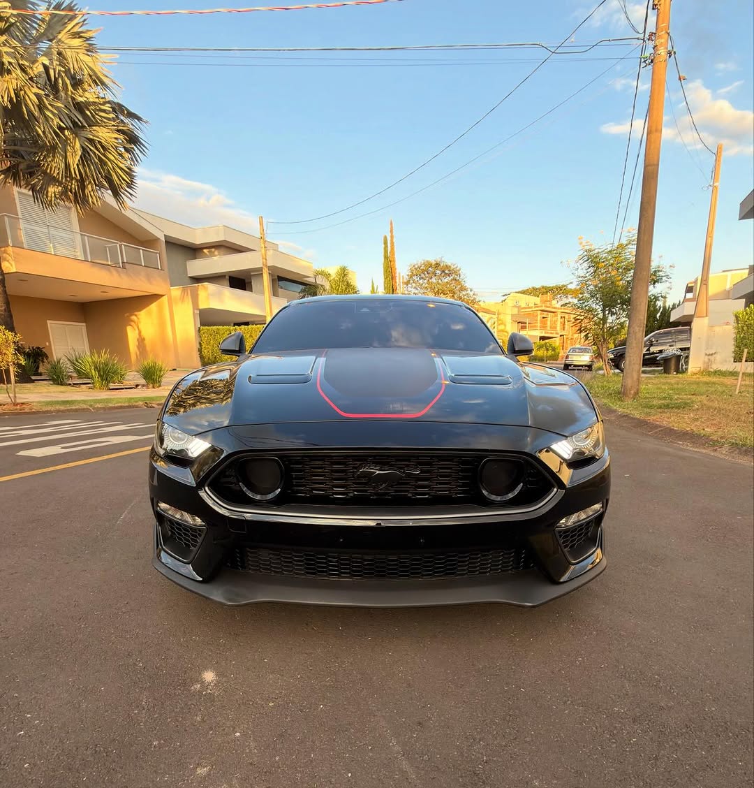 FORD MUSTANG MACH1 - Imagem 8