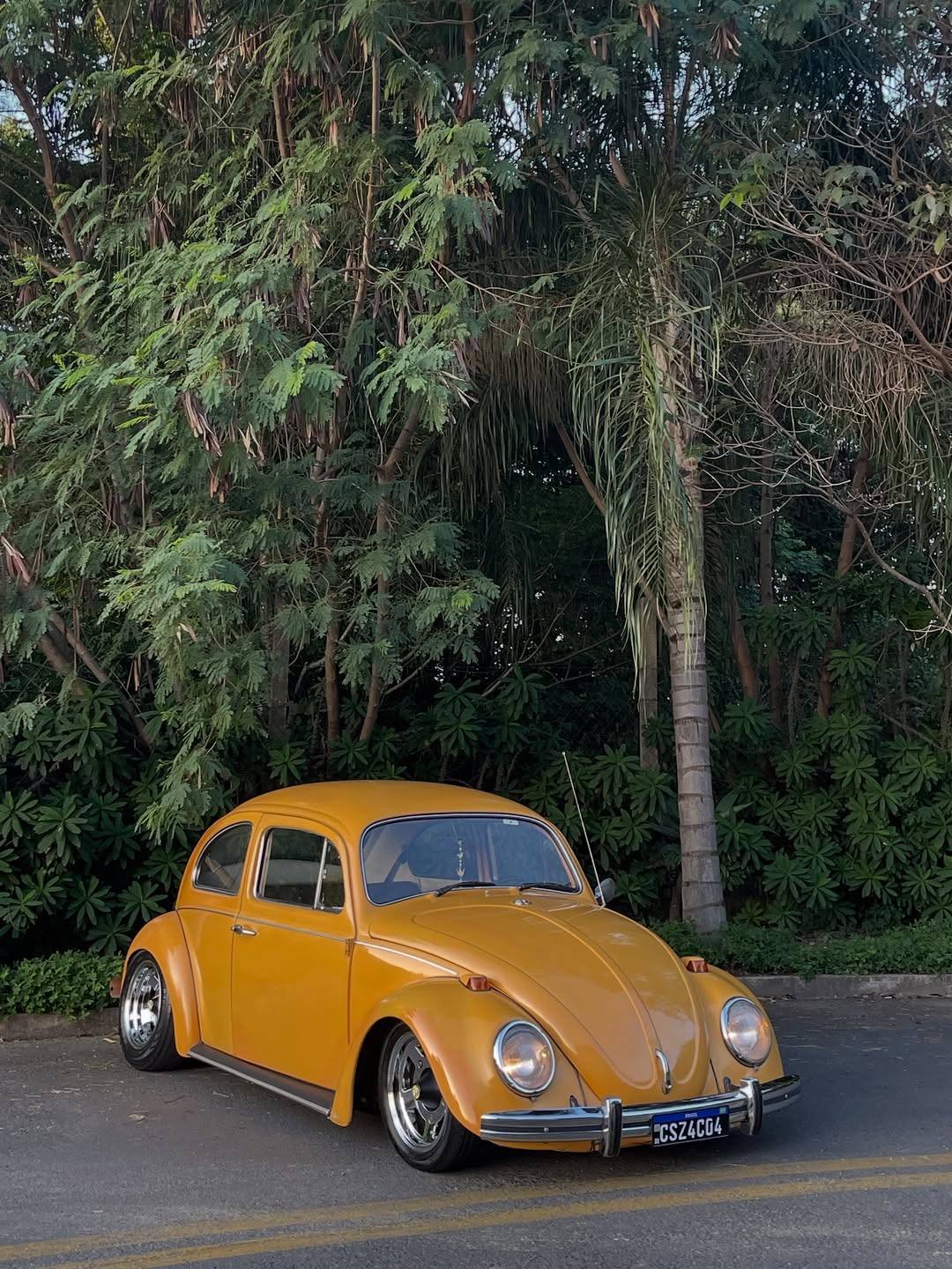 VOLKSWAGEN FUSCA AMARELO MANGA - Imagem 3