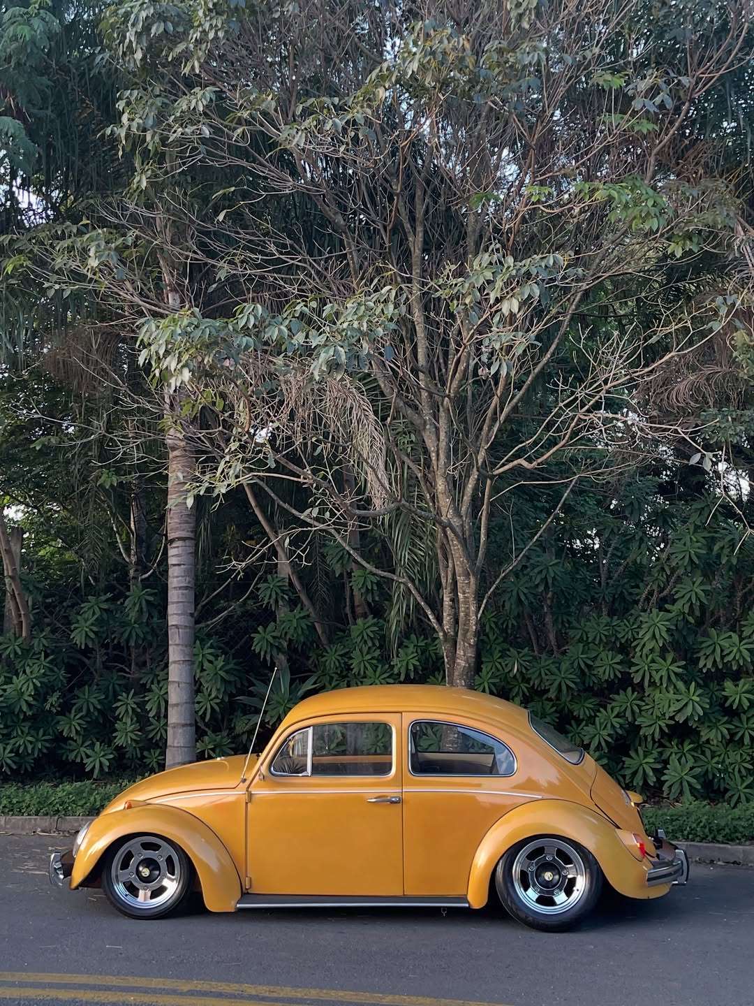 VOLKSWAGEN FUSCA AMARELO MANGA - Imagem 4