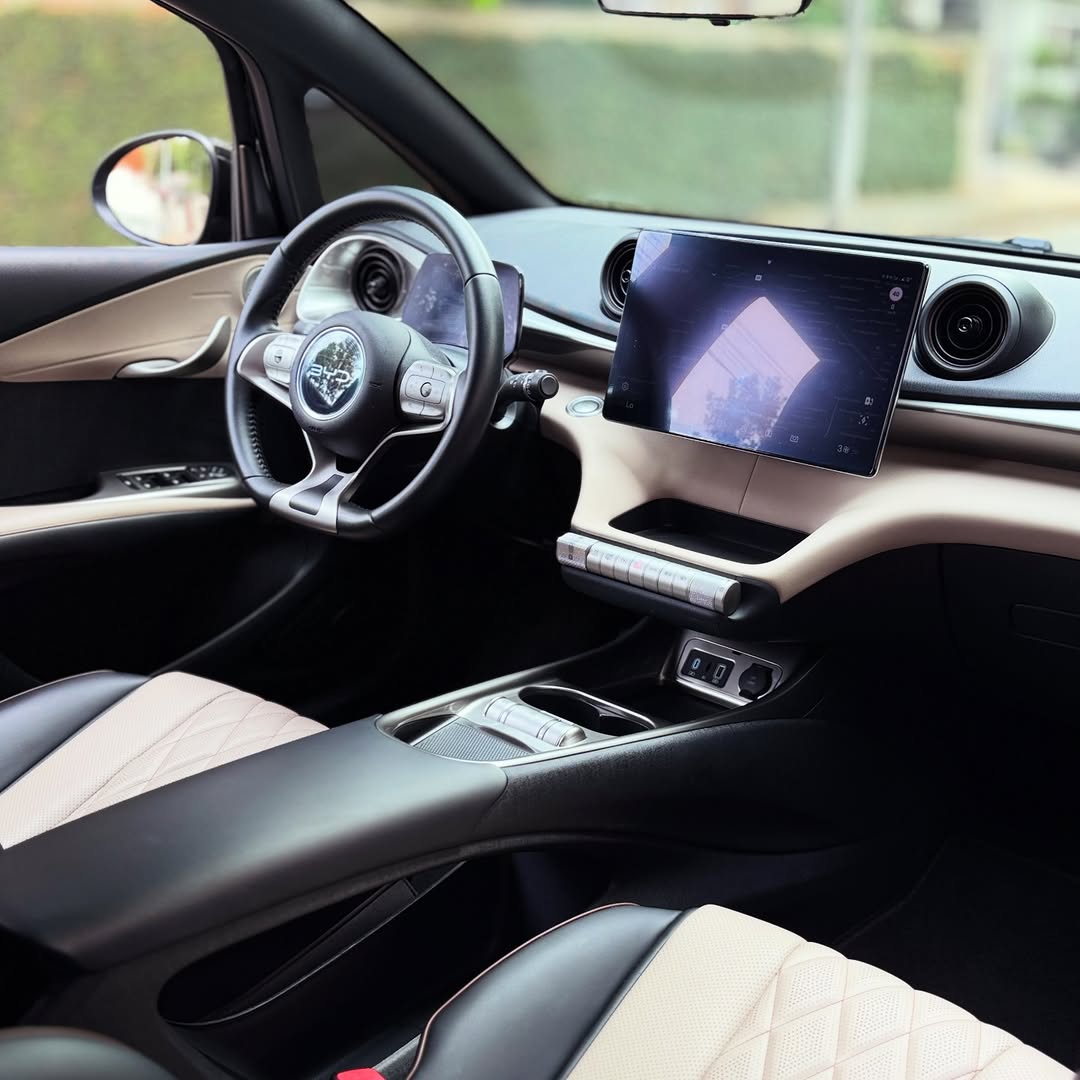 BYD DOLPHIN GS - Imagem 2