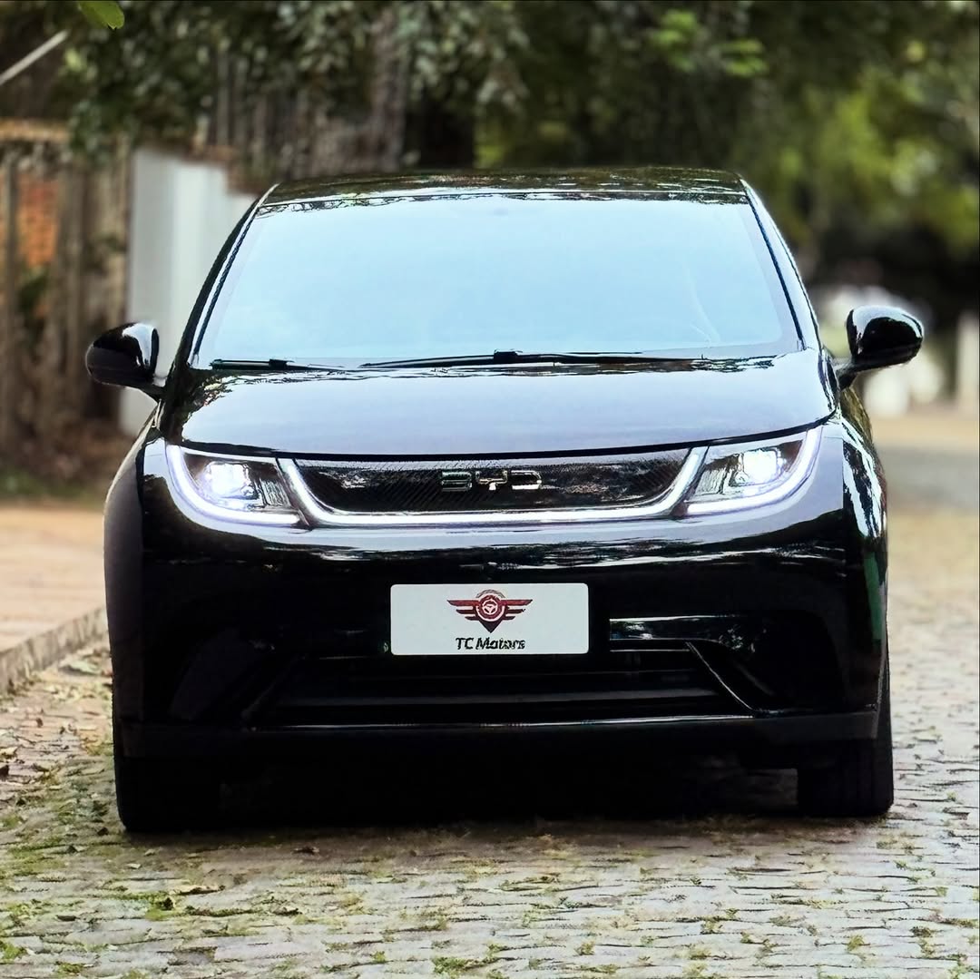 BYD DOLPHIN GS - Imagem 3