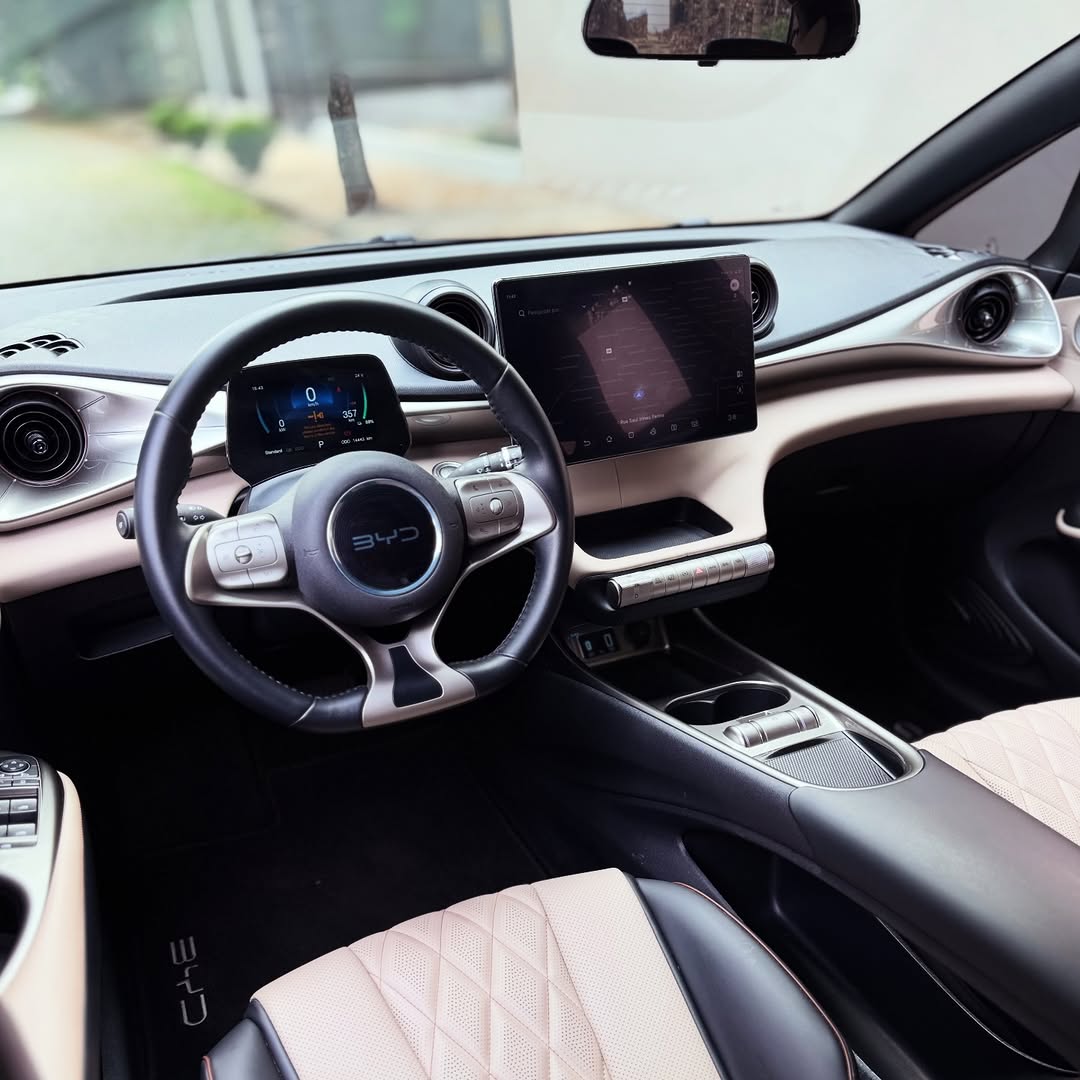 BYD DOLPHIN GS - Imagem 8