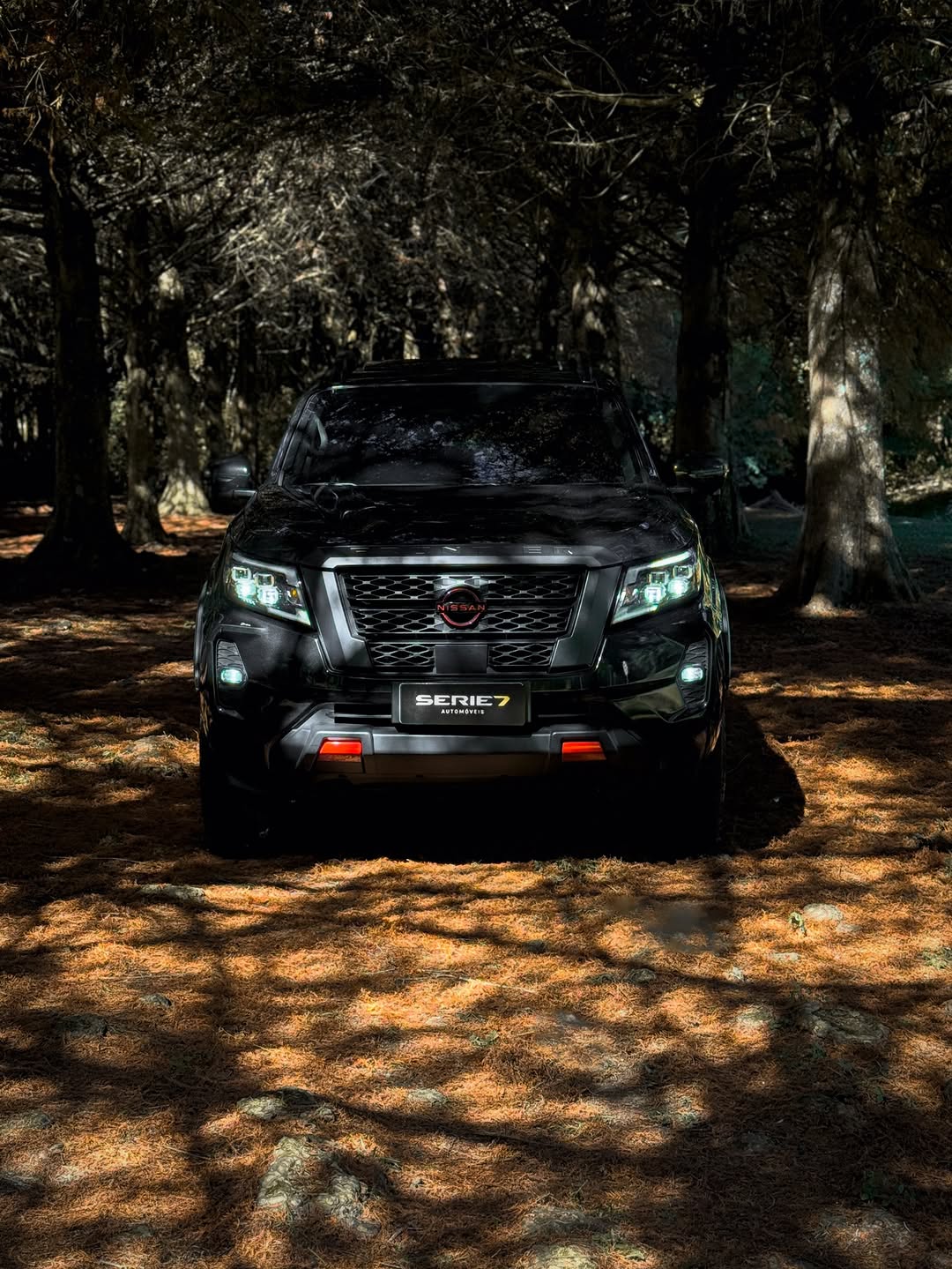 NISSAN FRONTIER PRO-4X - Imagem 3