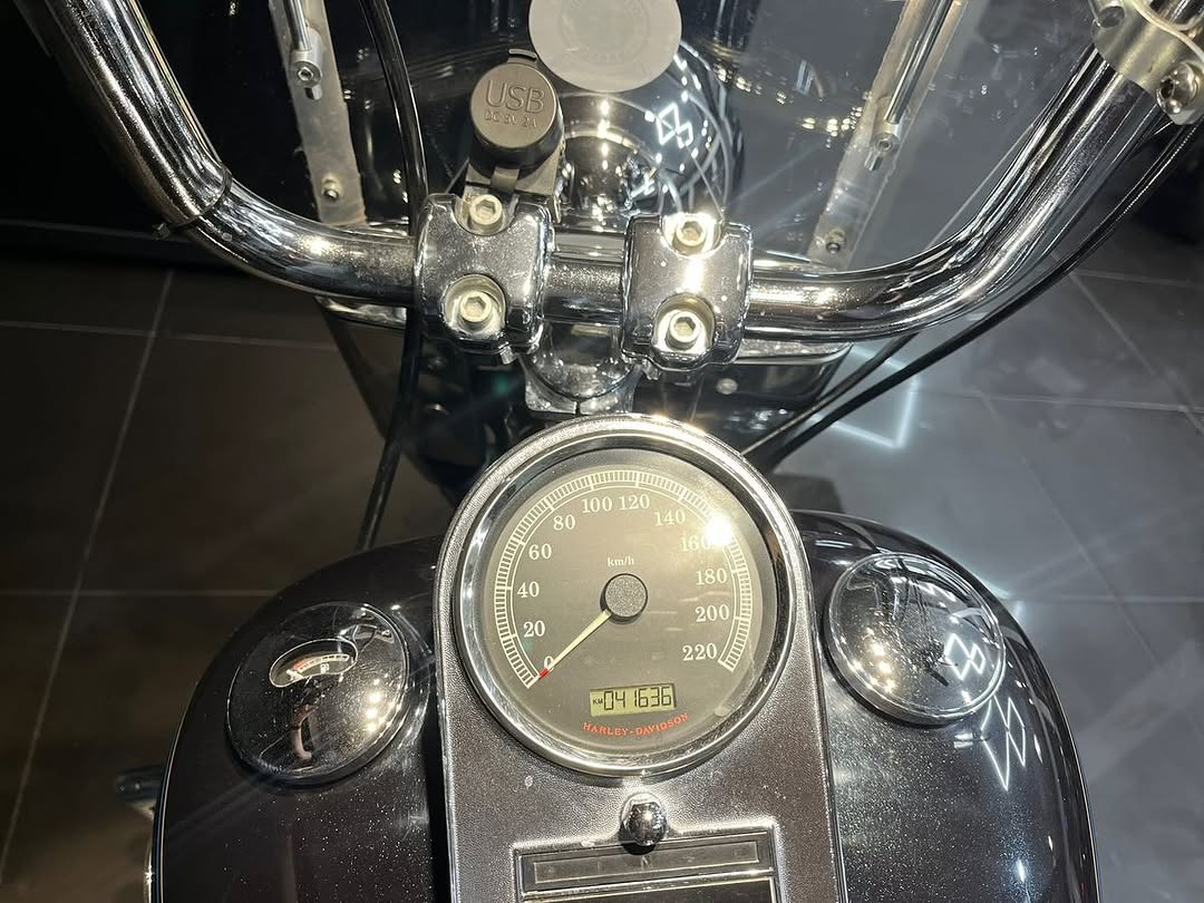 HARLEY-DAVIDSON FAT BOY - Imagem 7