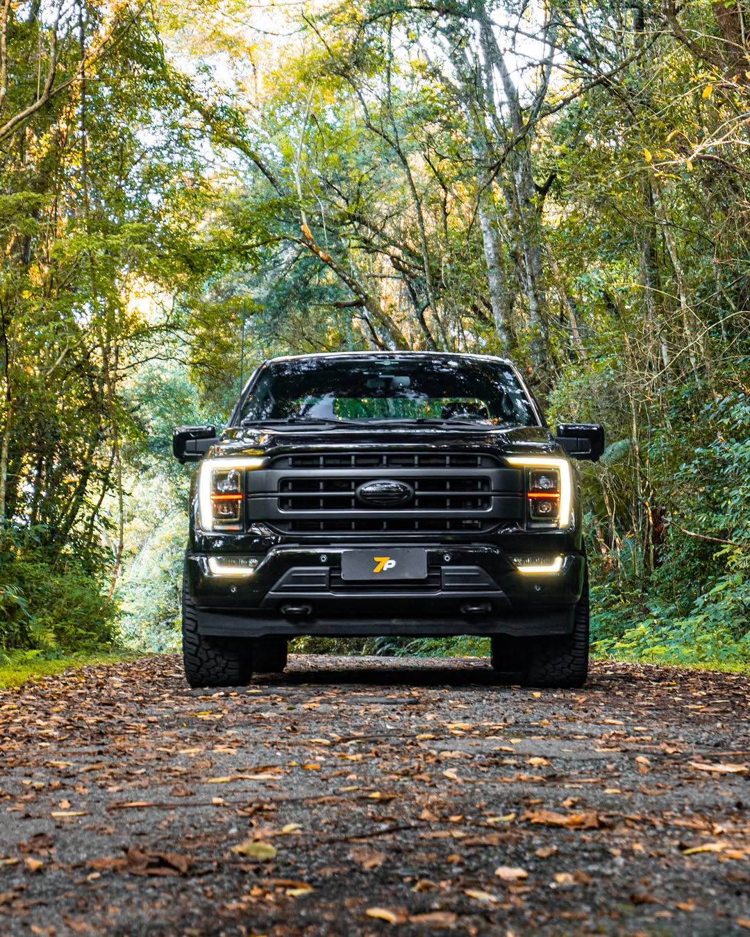 FORD F-150 LARIAT - Imagem 2