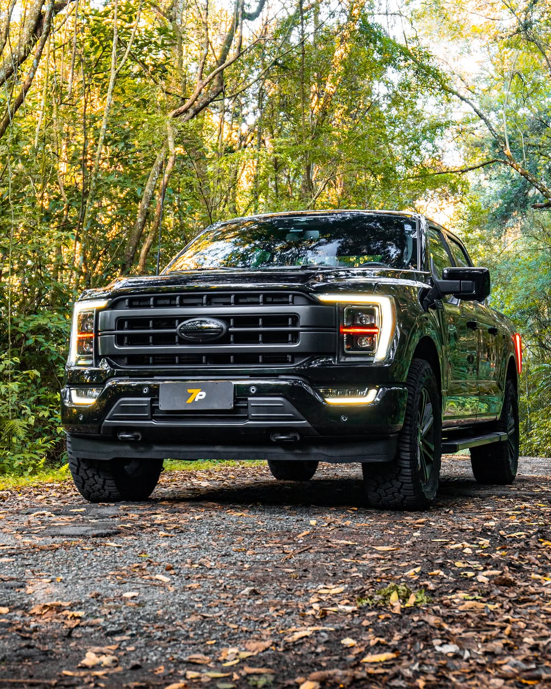 FORD F-150 LARIAT - Imagem 7