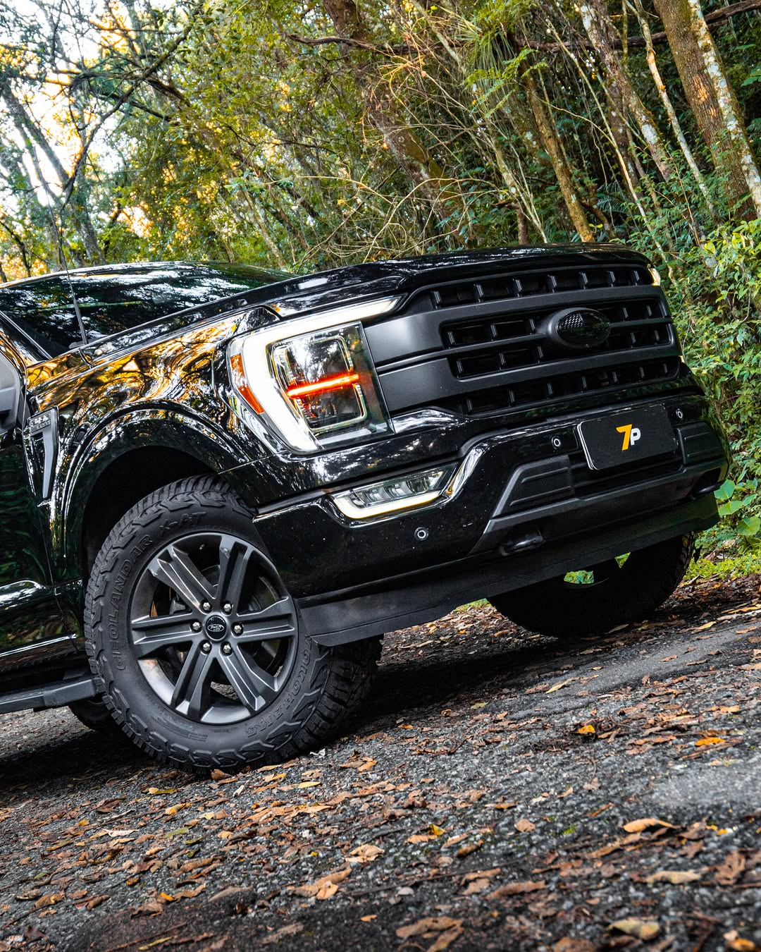 FORD F-150 LARIAT - Imagem 9