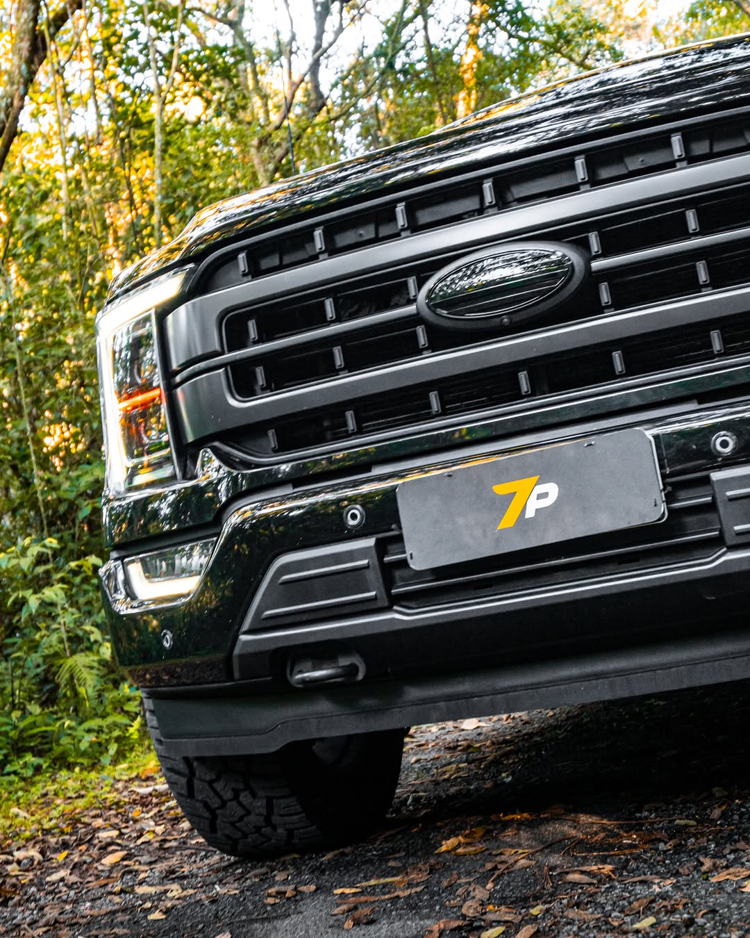 FORD F-150 LARIAT - Imagem 10