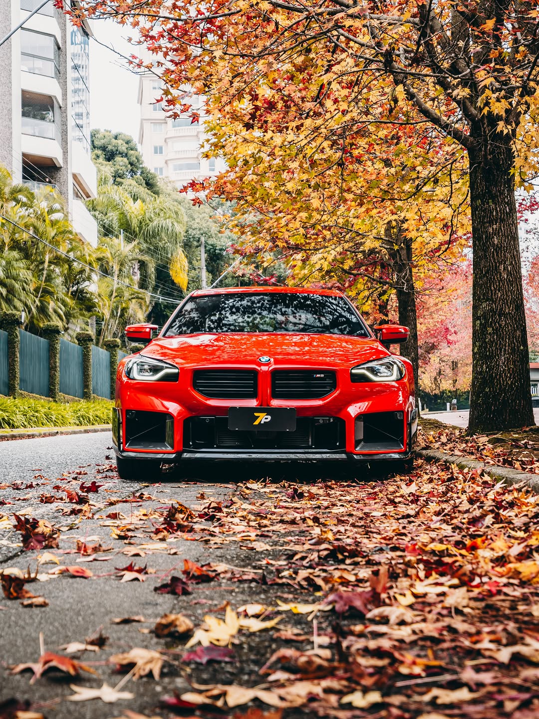 BMW M2 G87 - Imagem 9