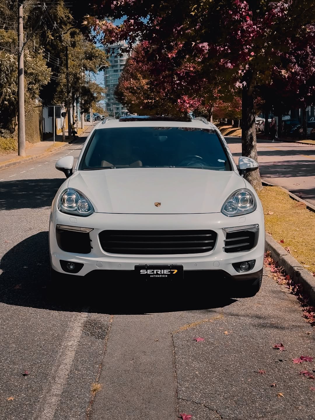 PORSCHE CAYENNE S - Imagem 1