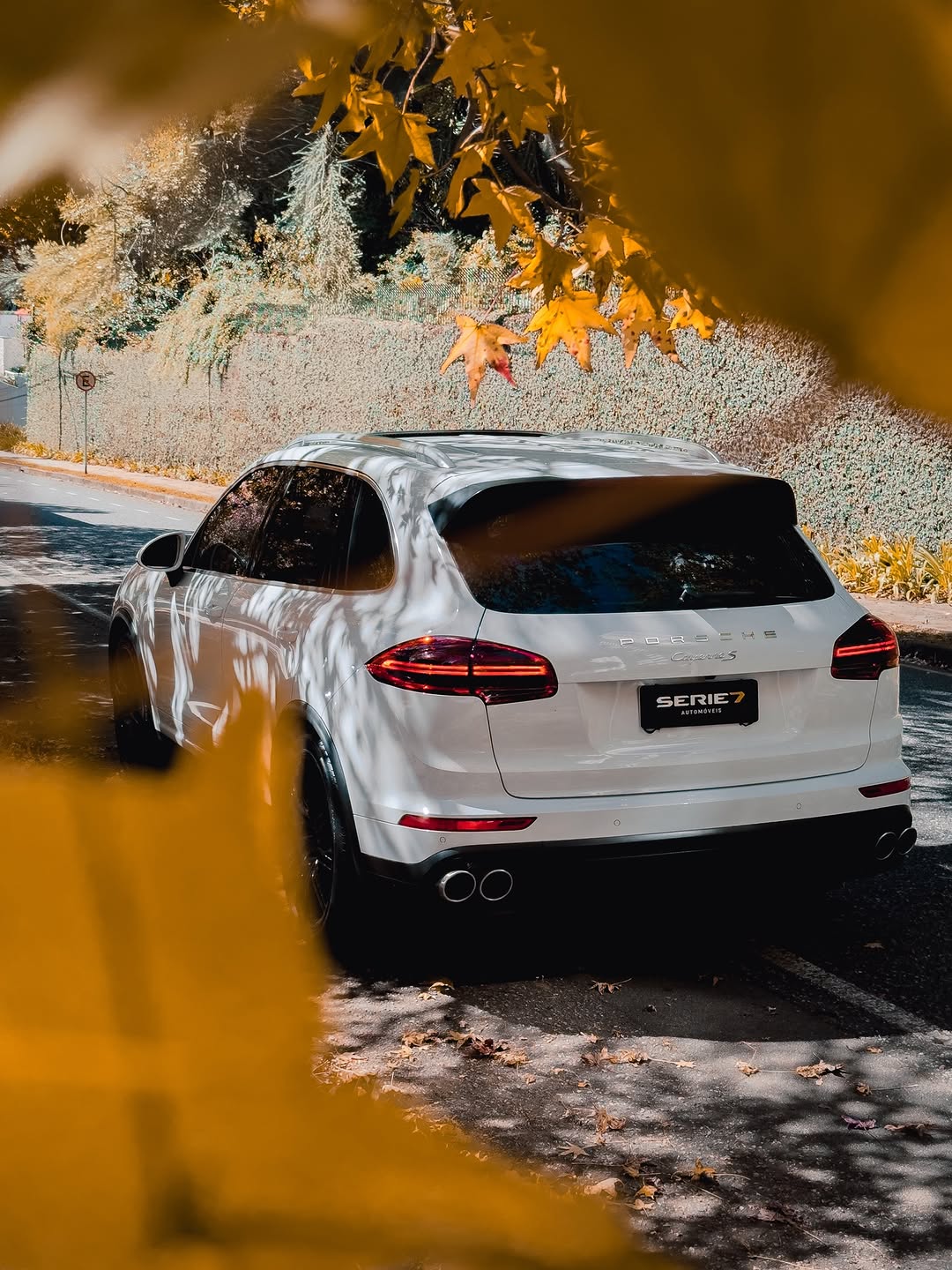 PORSCHE CAYENNE S - Imagem 3