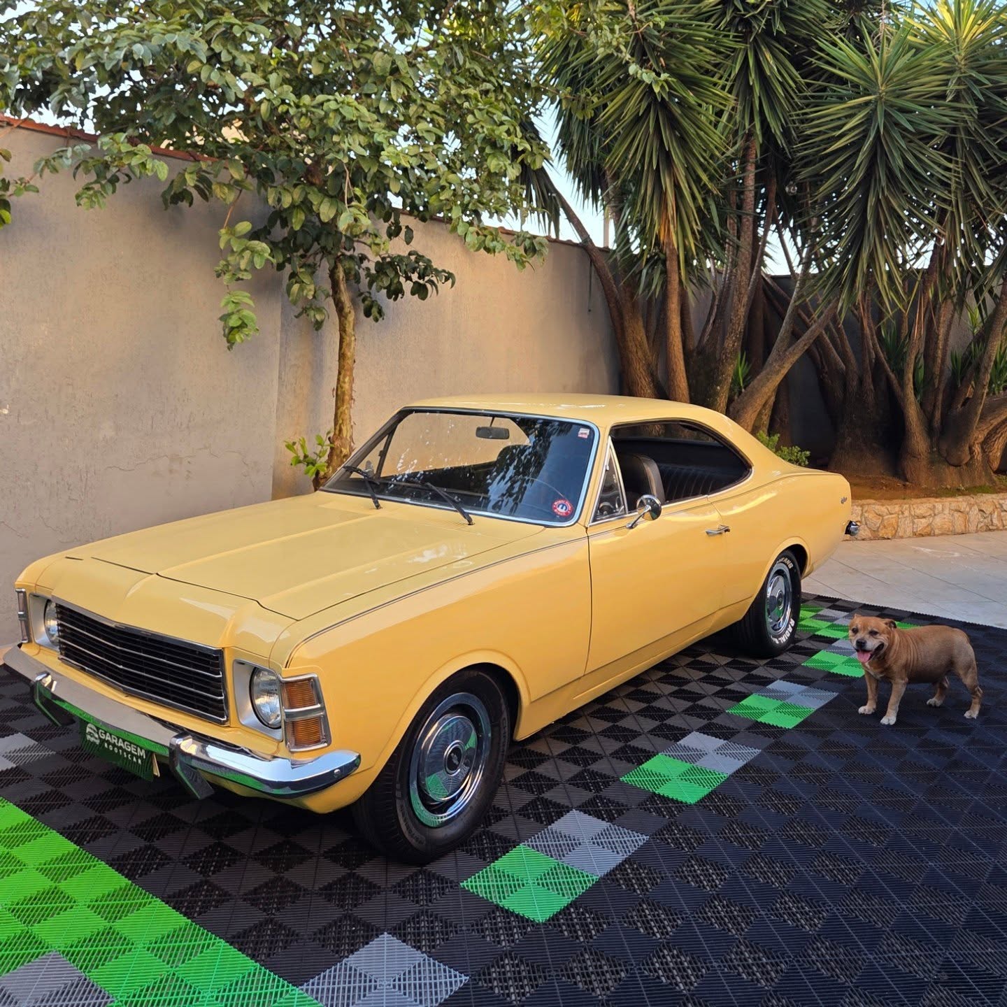 CHEVROLET OPALA COUPE - Imagem 1