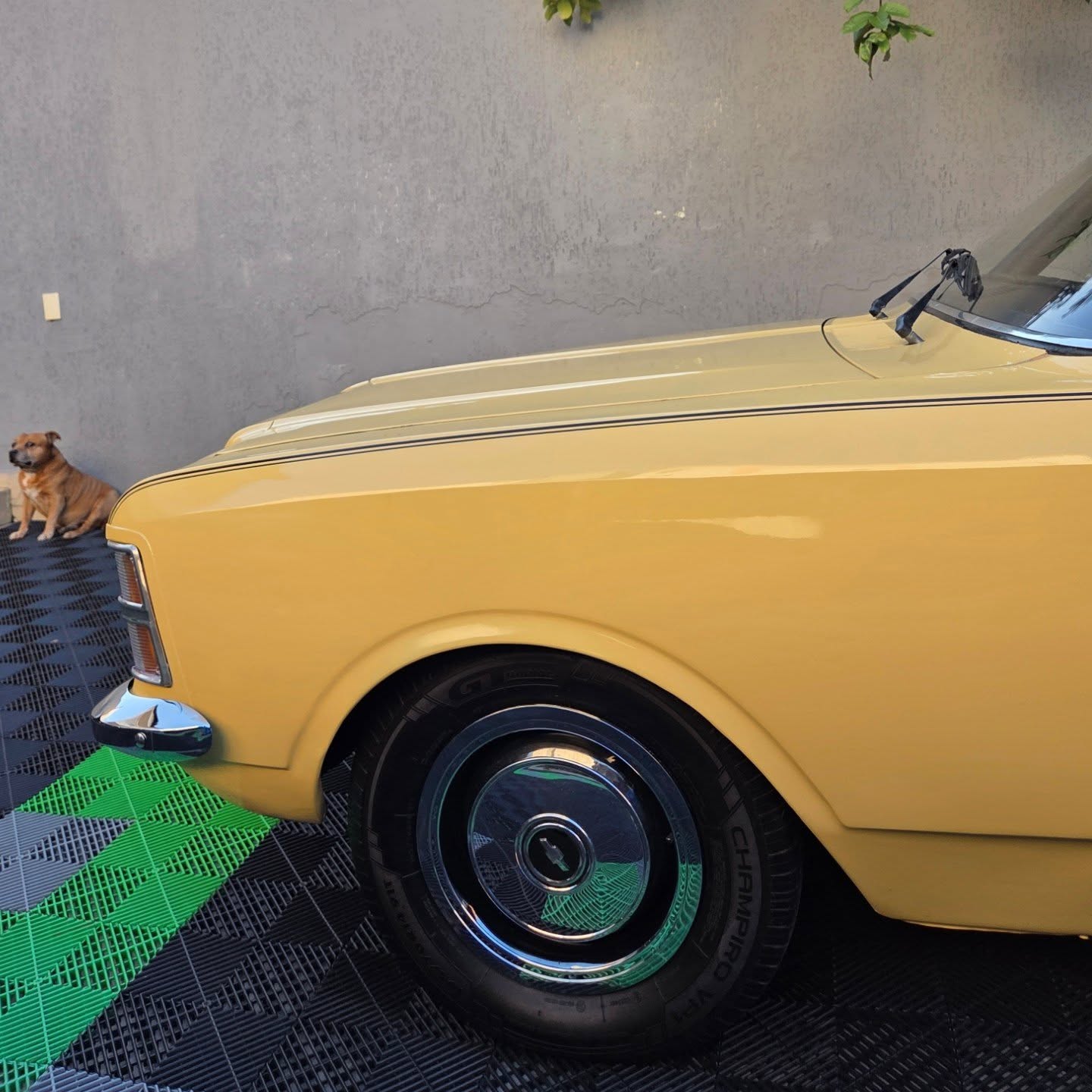 CHEVROLET OPALA COUPE - Imagem 12