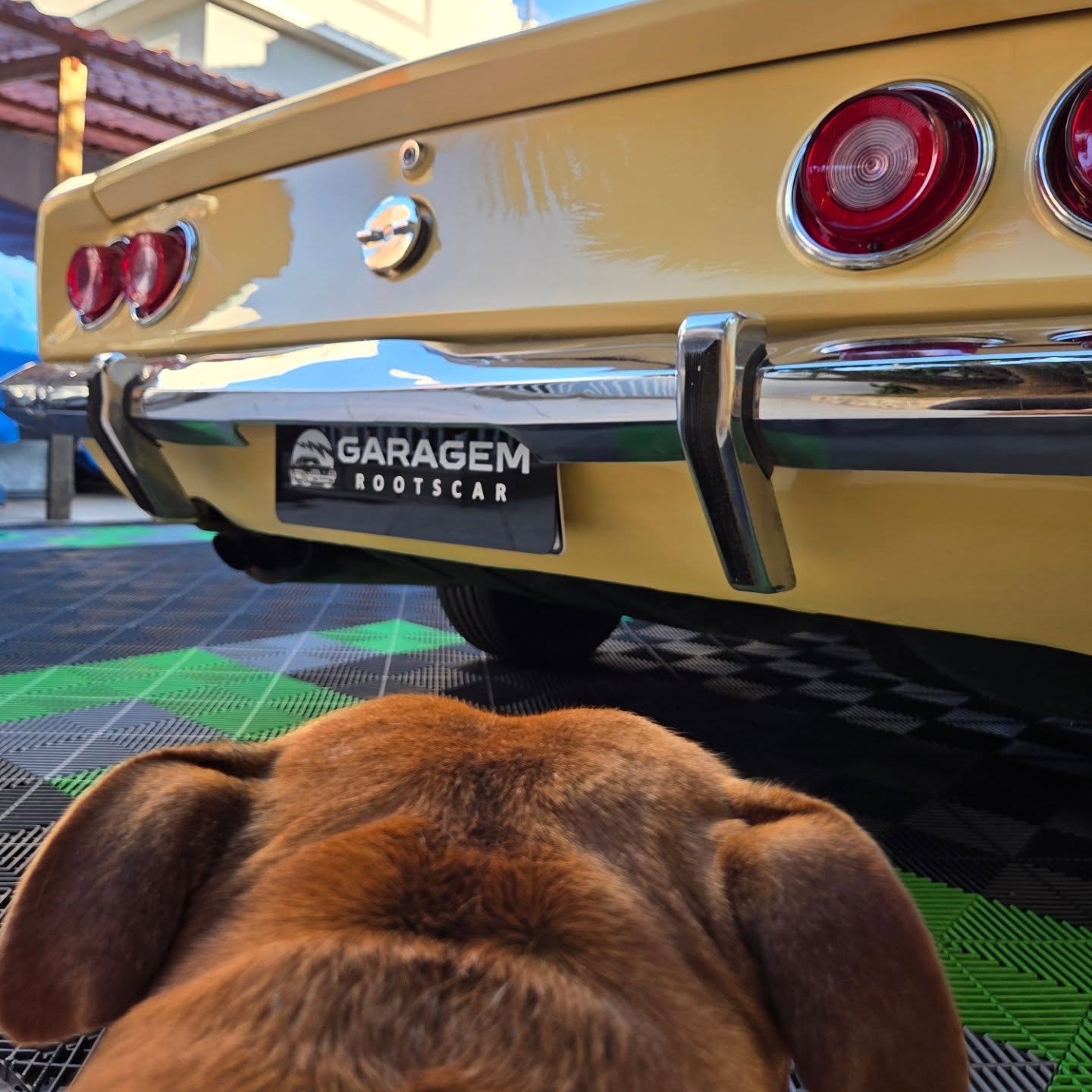 CHEVROLET OPALA COUPE - Imagem 14