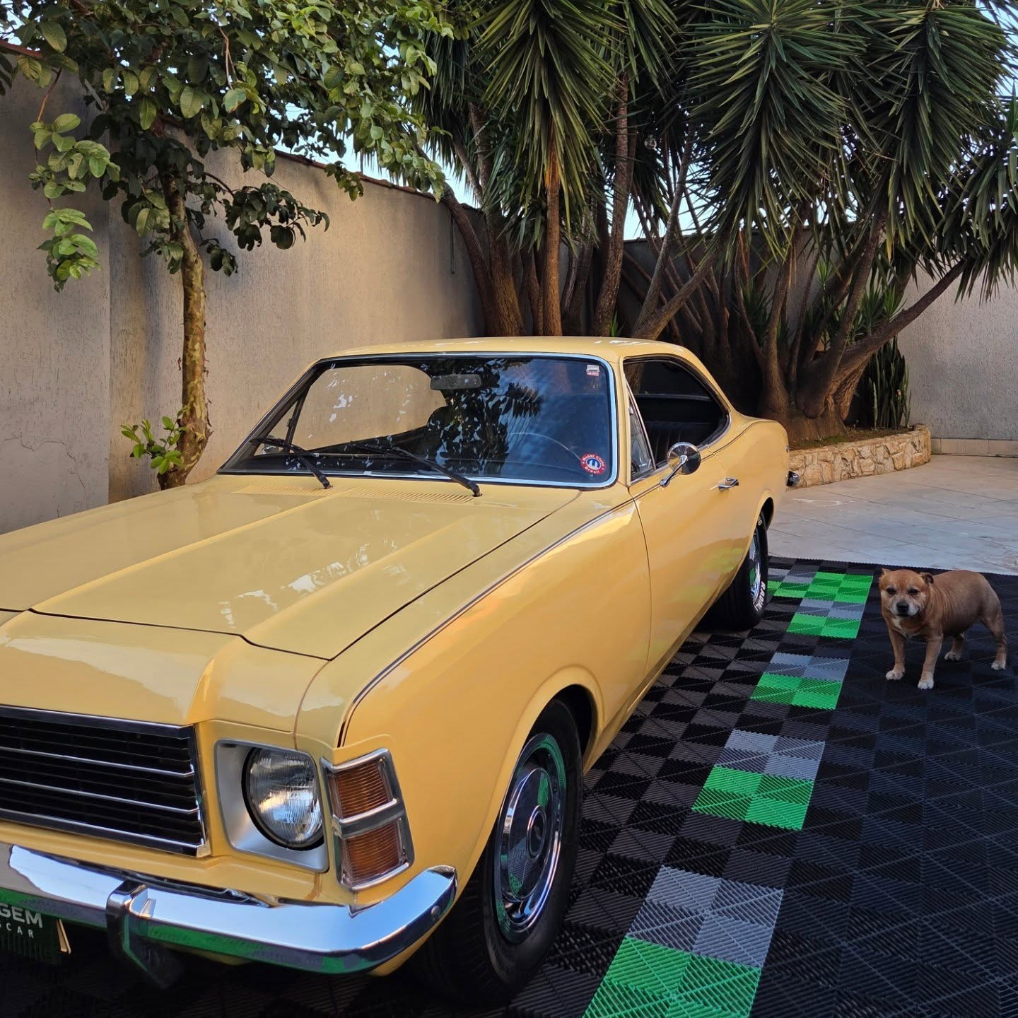 CHEVROLET OPALA COUPE - Imagem 10