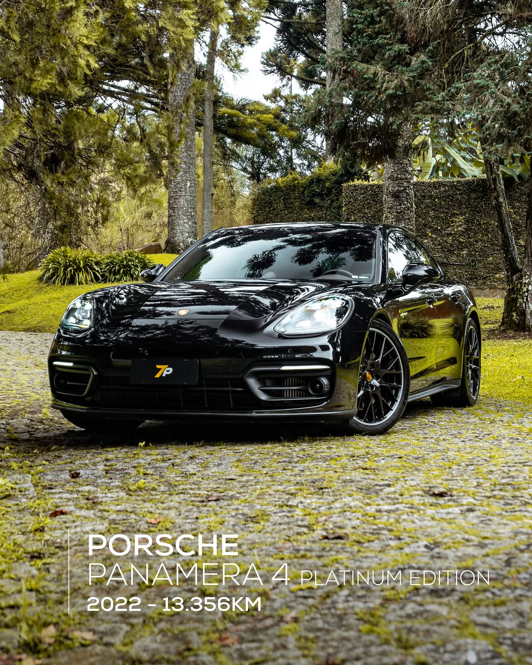 PORSCHE PANAMERA 4 E-HYBRID PLATINUM EDITION - Imagem 1
