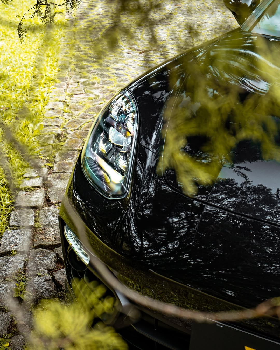 PORSCHE PANAMERA 4 E-HYBRID PLATINUM EDITION - Imagem 3