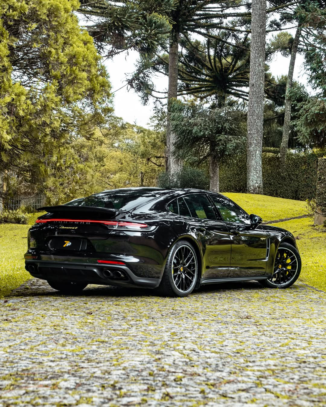PORSCHE PANAMERA 4 E-HYBRID PLATINUM EDITION - Imagem 7