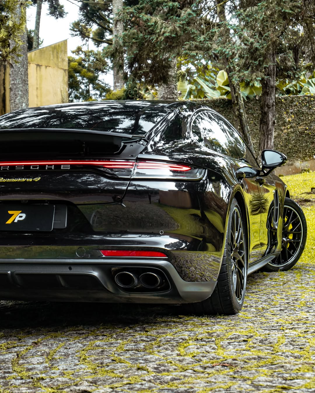 PORSCHE PANAMERA 4 E-HYBRID PLATINUM EDITION - Imagem 10