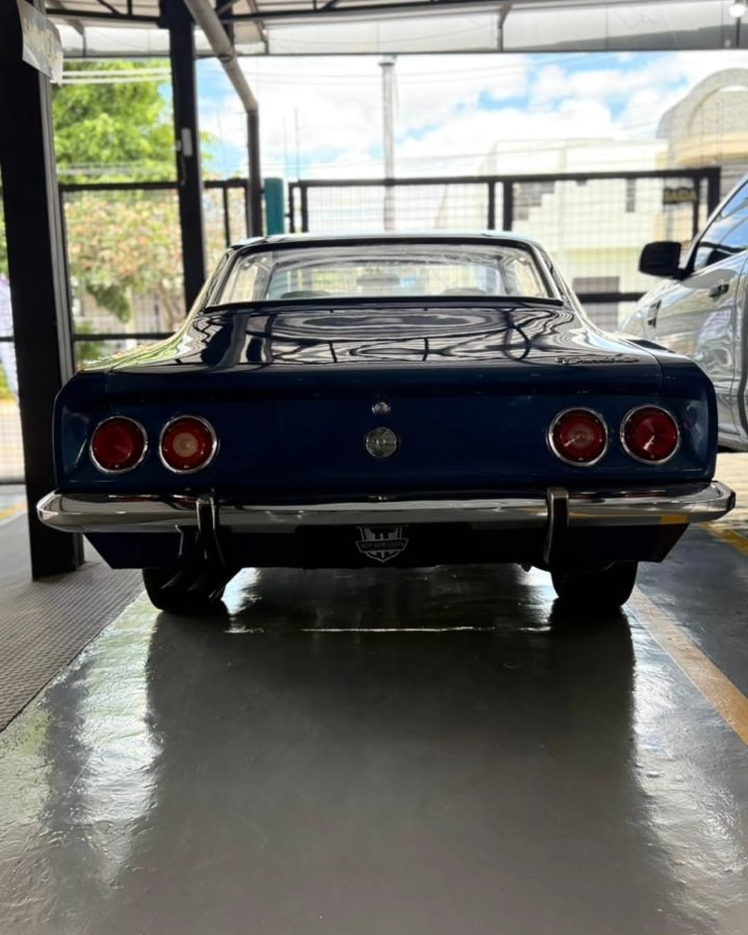 GM OPALA COMODORO - Imagem 5