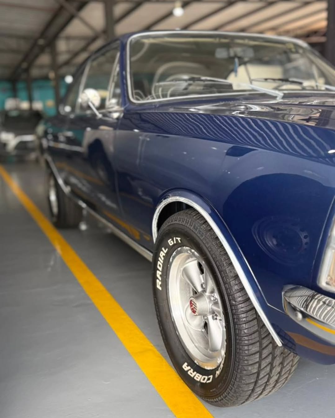 GM OPALA COMODORO - Imagem 6