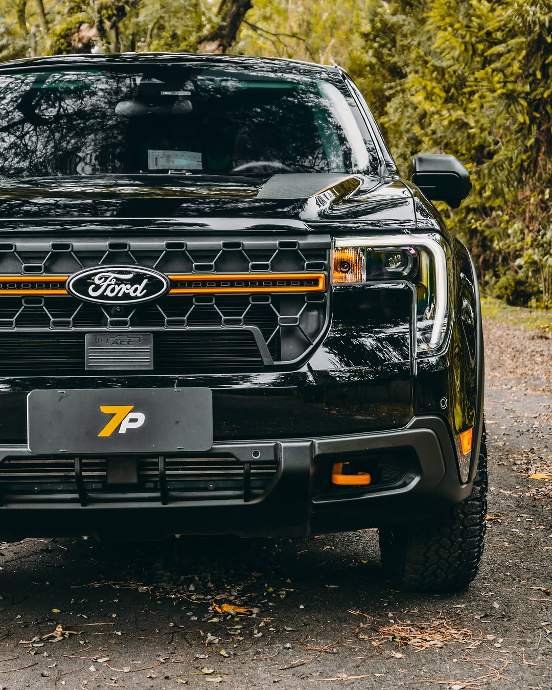 FORD MAVERICK TREMOR - Imagem 9