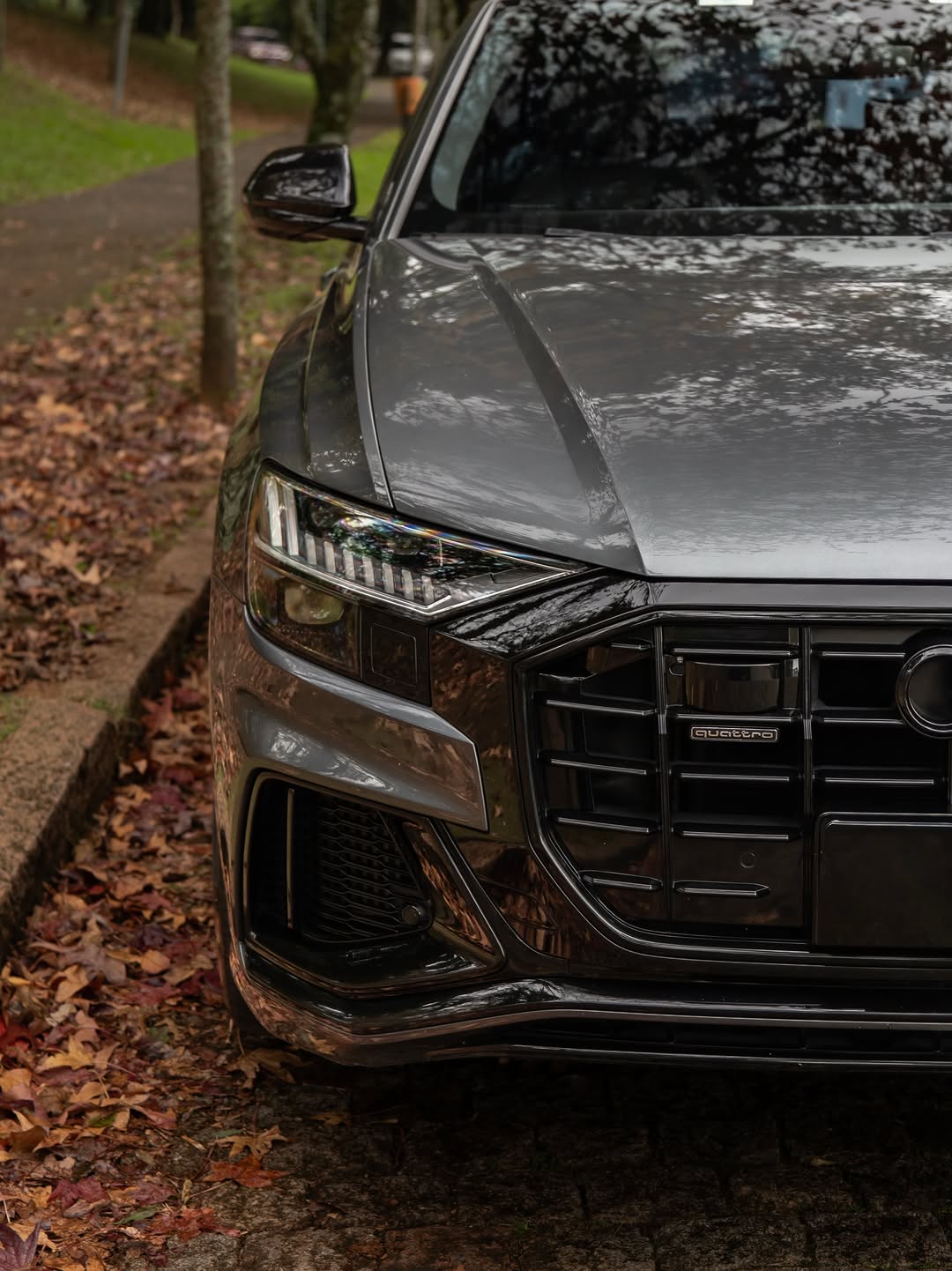 AUDI Q8 PERFORMANCE BLACK - Imagem 8