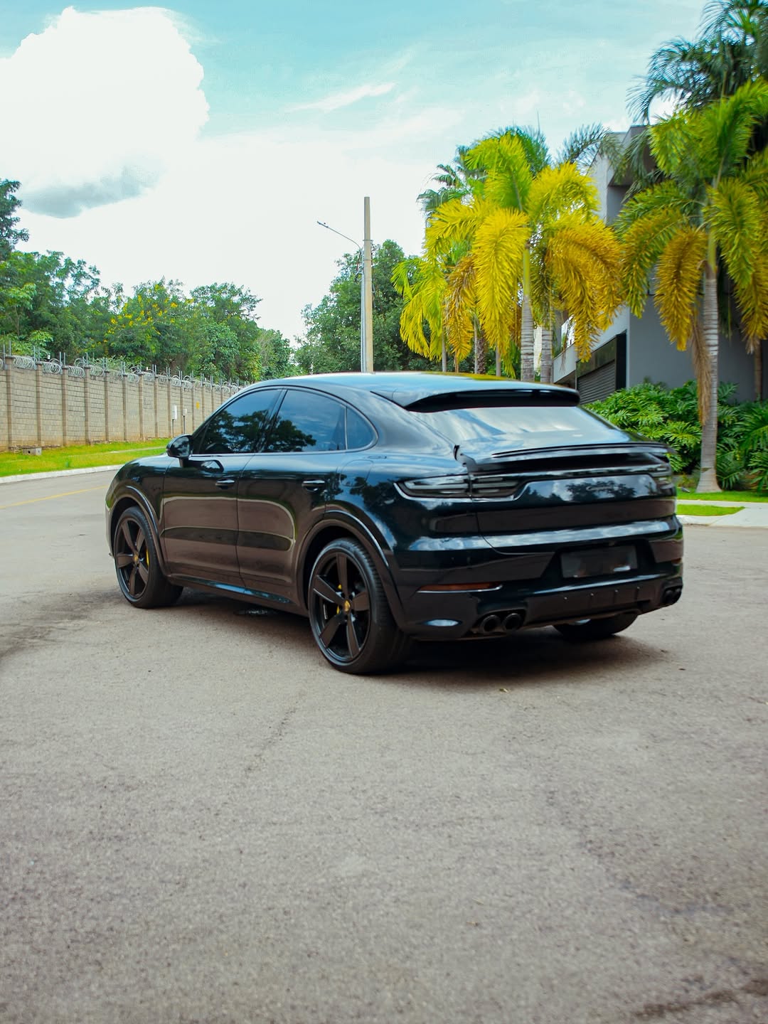 PORSCHE CAYENNE PLATINUM EDITION E-HYBRID - Imagem 2