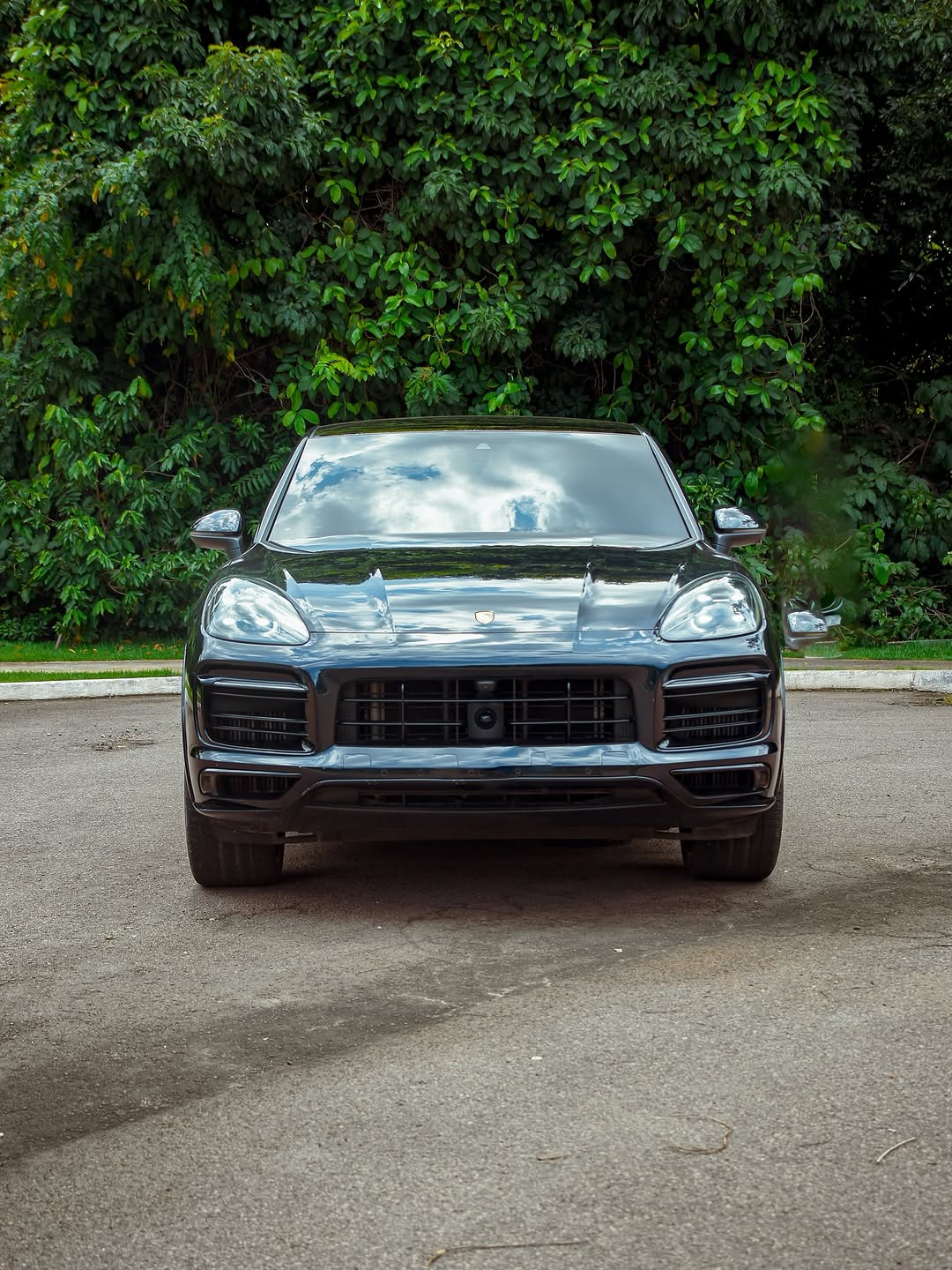 PORSCHE CAYENNE PLATINUM EDITION E-HYBRID - Imagem 3