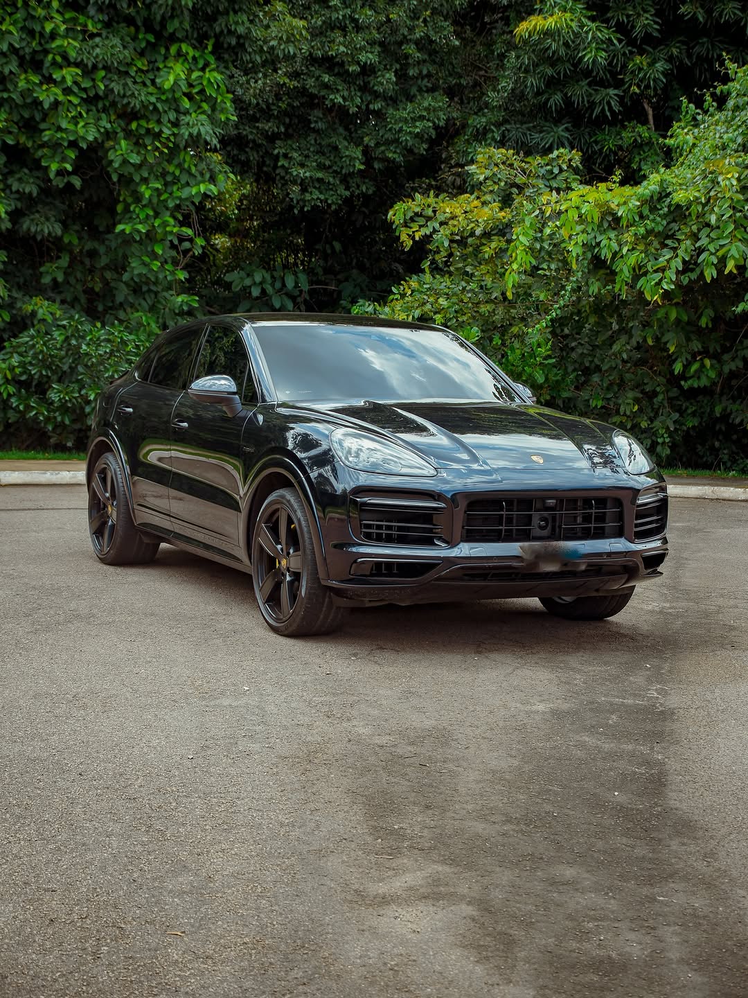 PORSCHE CAYENNE PLATINUM EDITION E-HYBRID - Imagem 5