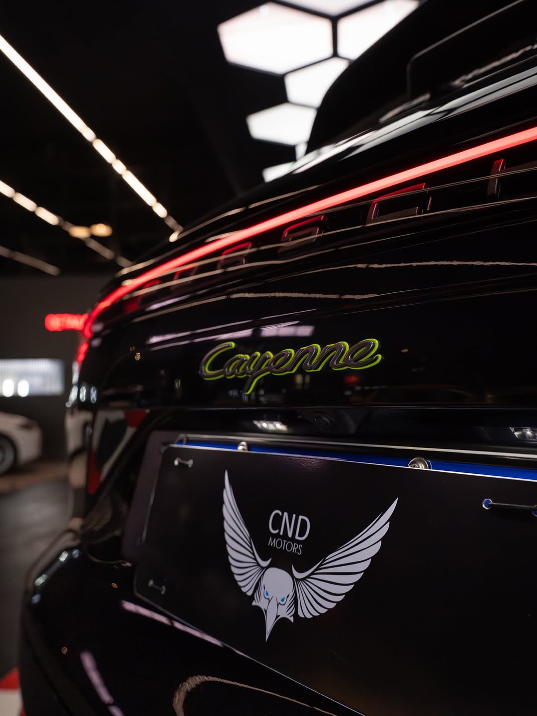 PORSCHE CAYENNE E-HYBRID PLATINUM EDITION - Imagem 16