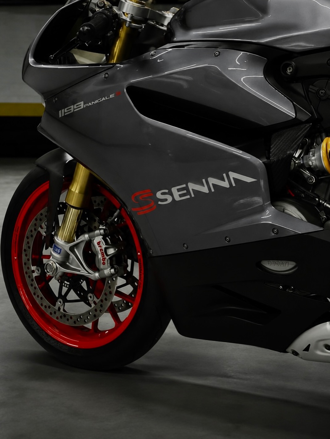 DUCATI 1199 PANIGALE S SENNA - Imagem 2