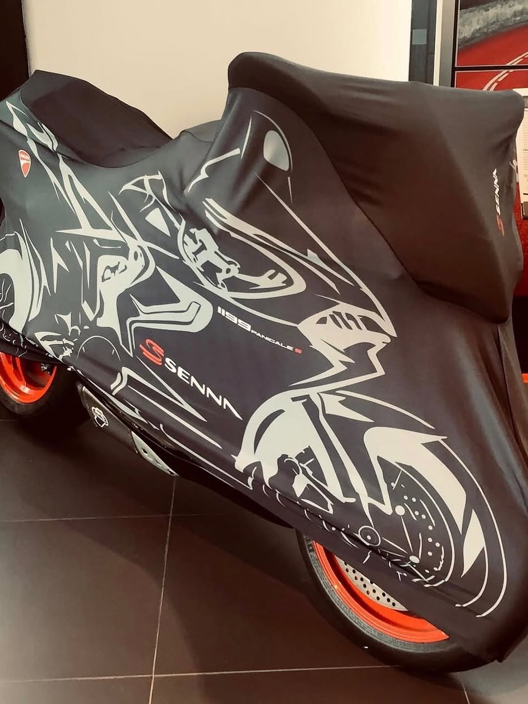 DUCATI 1199 PANIGALE S SENNA - Imagem 15