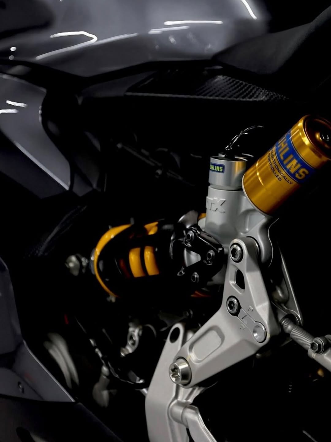DUCATI 1199 PANIGALE S SENNA - Imagem 4