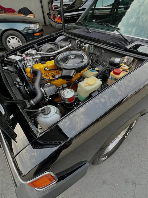 CHEVROLET OPALA DIPLOMATA - Imagem 8
