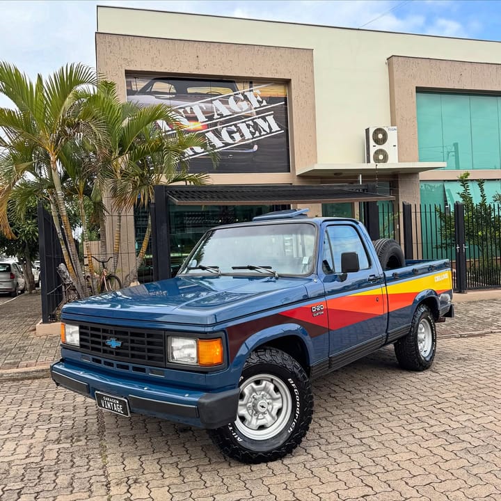 CHEVROLET D20