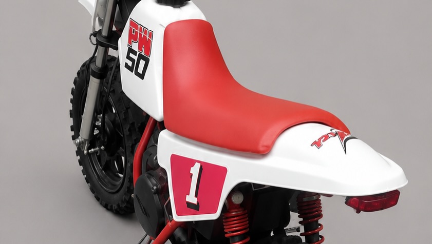 YAMAHA PW50 - Imagem 4