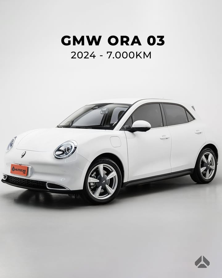 GWM ORA SKIN