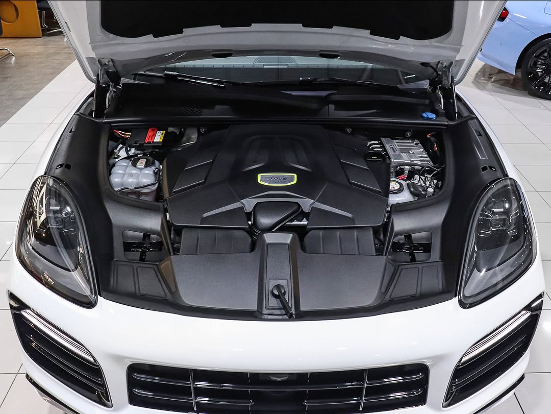PORSCHE CAYENNE E-HYBRID PLATINUM EDITION - Imagem 4