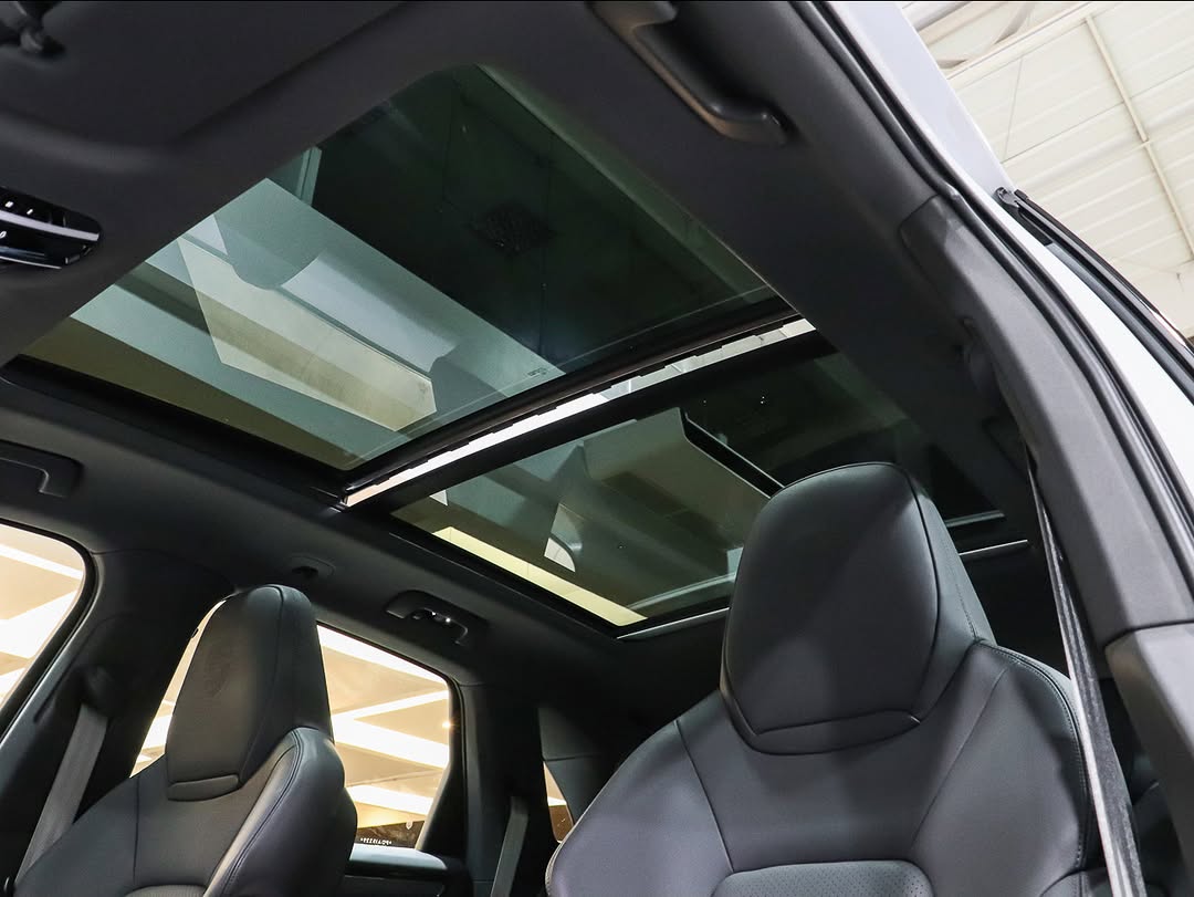 PORSCHE CAYENNE E-HYBRID PLATINUM EDITION - Imagem 8