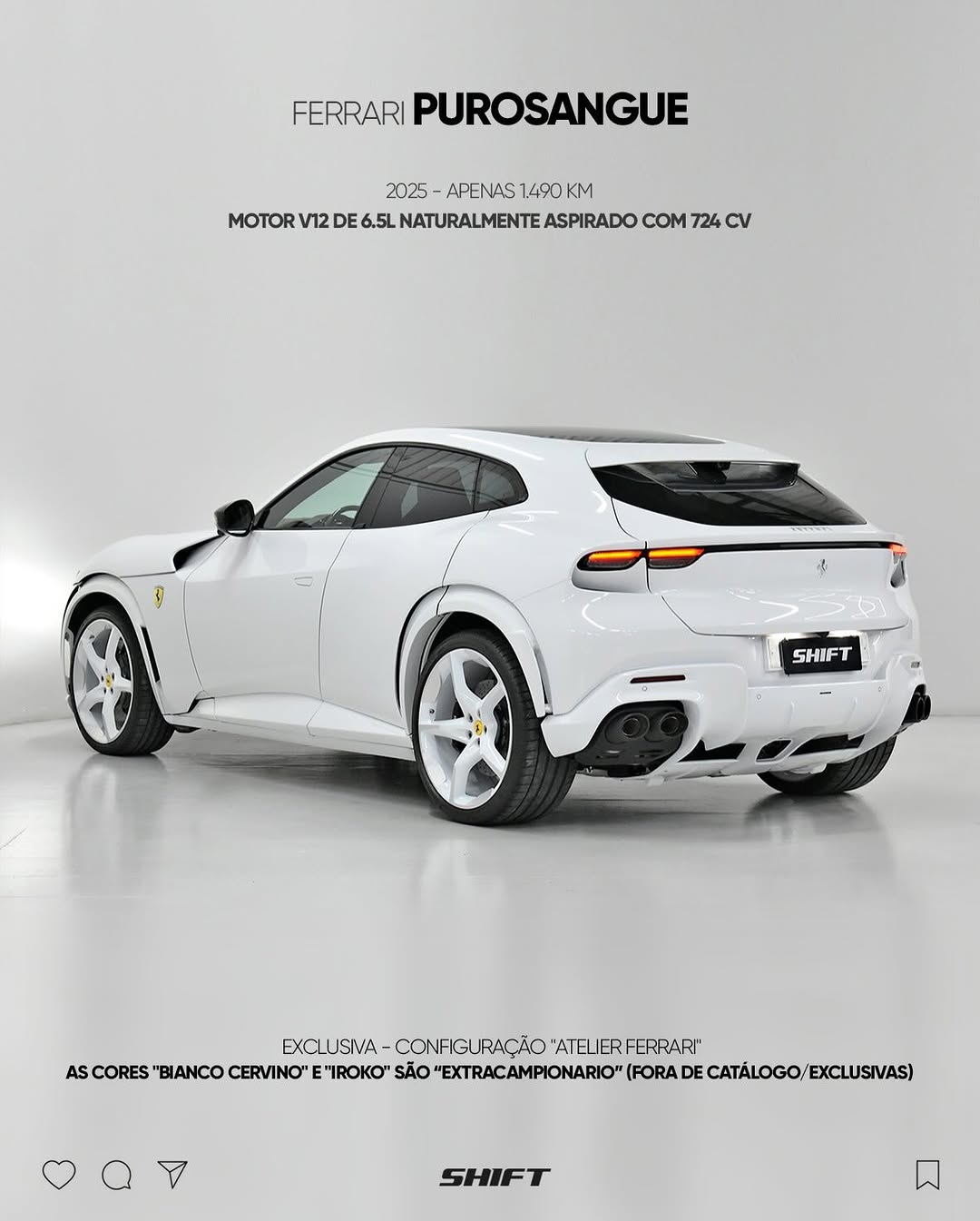 FERRARI PUROSANGUE - Imagem 2