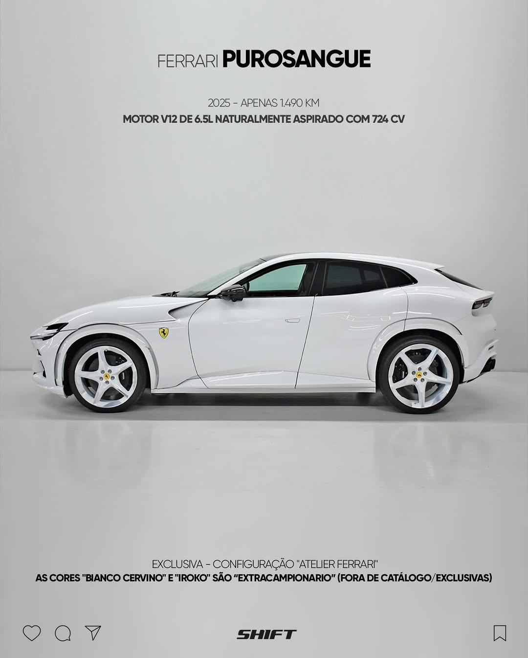 FERRARI PUROSANGUE - Imagem 3