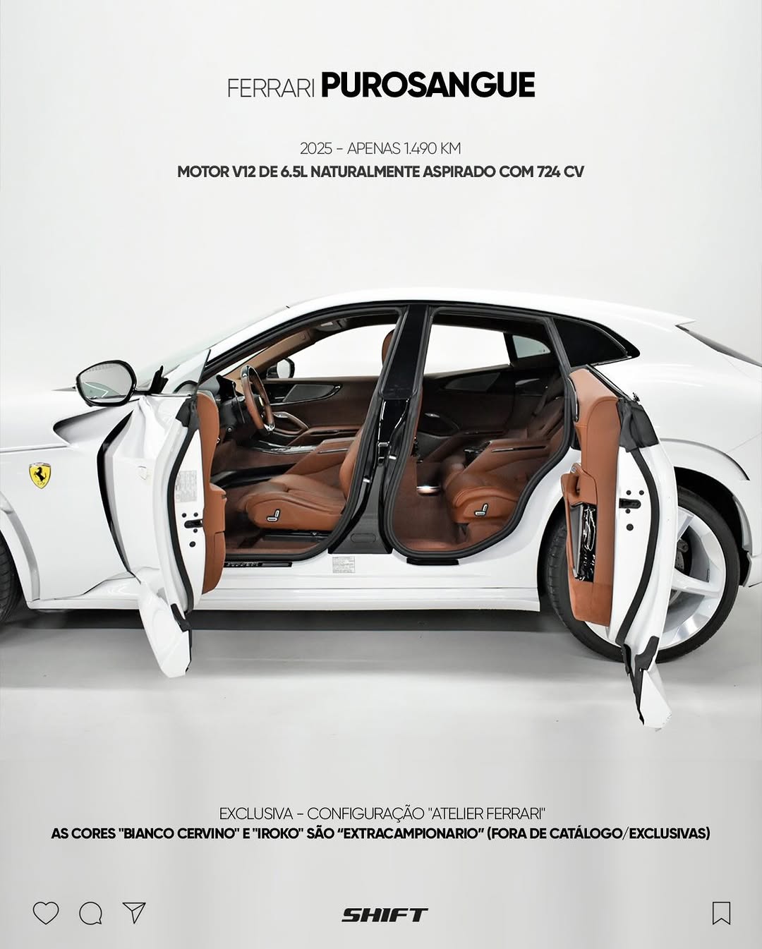 FERRARI PUROSANGUE - Imagem 4